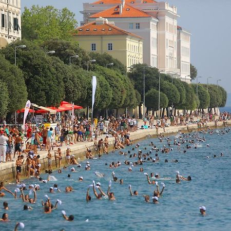 Apartments Grisogono Zadar Eksteriør bilde